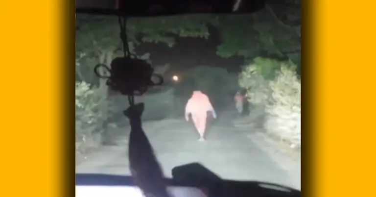 কুষ্টিয়ায় ডাকাতির অভিযোগ